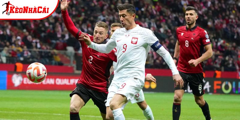 Ba Lan vs Albania có sự chuẩn bị kỹ càng